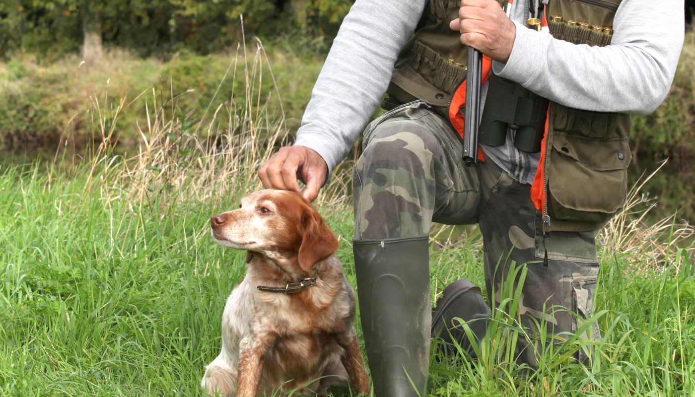 commands-to-teach-your-gun-dog-the-hunting-dog-podcast